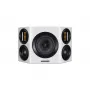 Настенная акустика Wharfedale EVO 4.S White Oak